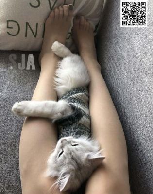 一级毛片免费版_4K在线观看视频