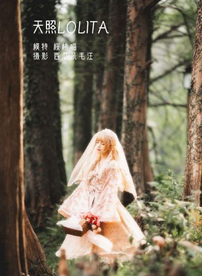 午夜福利理论片高清在线观看播放_韩国在线观看